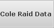 Cole Raid Data Recovery Services