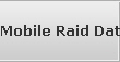 Mobile Raid Data Recovery Services