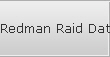 Redman Raid Data Recovery Services