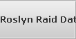Roslyn Raid Data Recovery Services