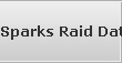Sparks Raid Data Recovery Services